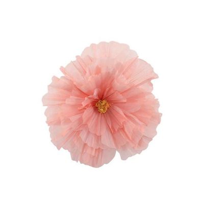 Mr Plant, Kukka Daisy seinä Oranssi