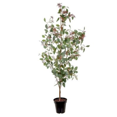 Mr Plant, Eukalyptus Harmaa 175 cm
