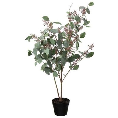 Mr Plant, Eucalyptus harmaa 110 cm