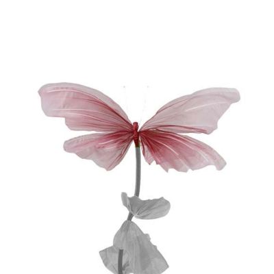 Mr Plant, Kukka Signe seinä Purple