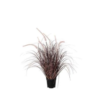 Mr Plant, Ruoho Burgundy 60 cm