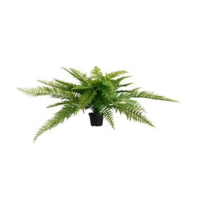 Mr Plant, Saniainen Vihreä 35 cm