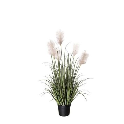 Mr Plant, Ruoho 130cm