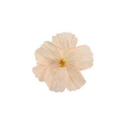 Mr Plant, Kukka Lykke seinä Yellow