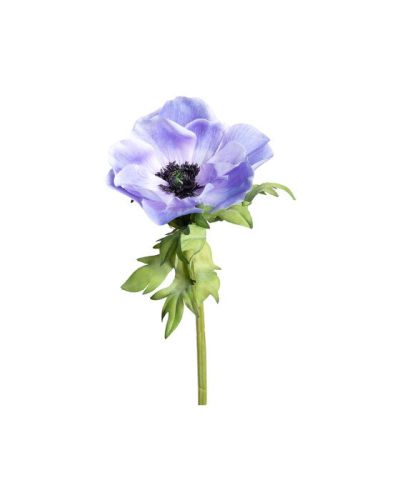 Newport Anemone-leikkokukka, sininen | Alk. 10,00 €