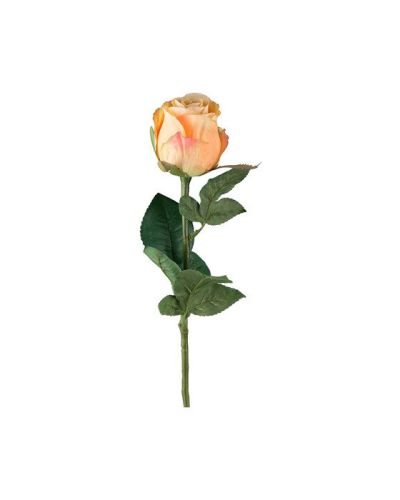 Newport Ruusuleikkokukka peach