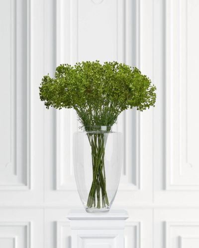 Newport Allium leikkokukka vihreä