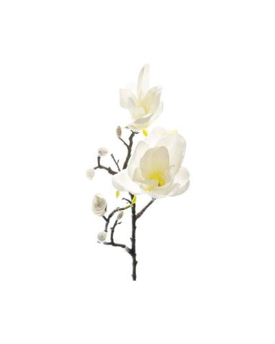 Newport Magnolia-leikkokukka, valkoinen/keltainen