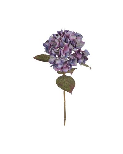 Newport Hortensia-leikkokukka violetti