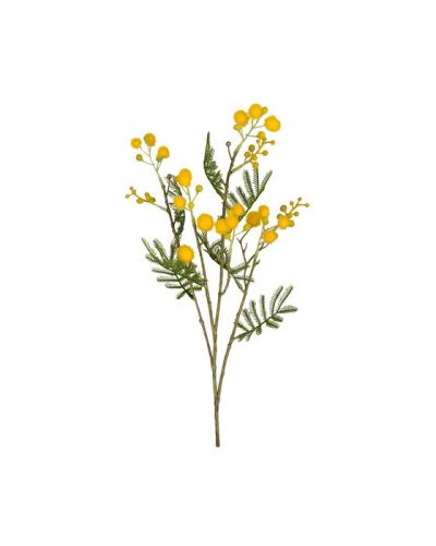 Newport Mimosa-leikkokukka, keltainen