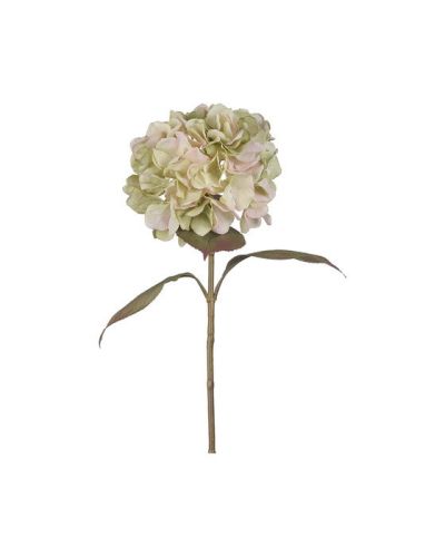 Newport Hortensia leikkokukka vihreä/vaaleanpunainen