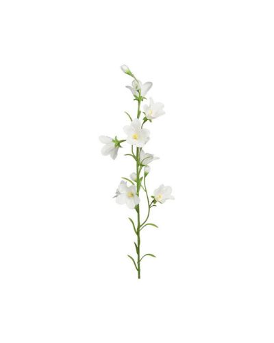 Newport Eternell leikkokukka sininen | Alk. 7,00 €