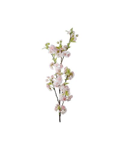 Newport Kirsikankukka, vaaleanpunainen | Alk. 40,00 €