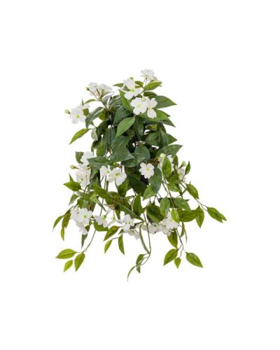 Newport Impatiens hawkeri-ruukkukasvi, valkoinen | Alk. 40,00 €
