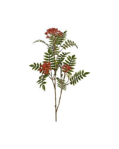 Newport Rowan Cut Flower Red