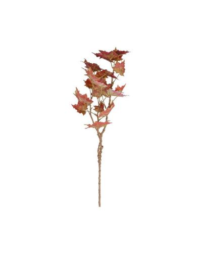 Newport Maple Cut Flower Orange