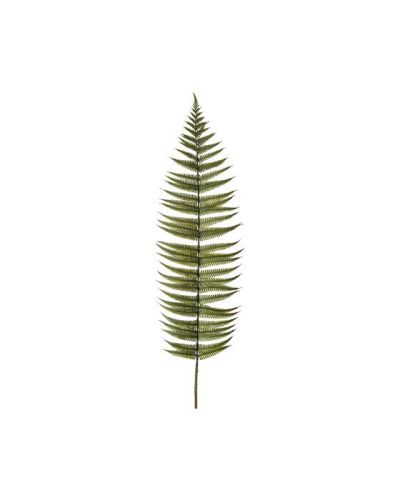 Newport Fern Leaf Green