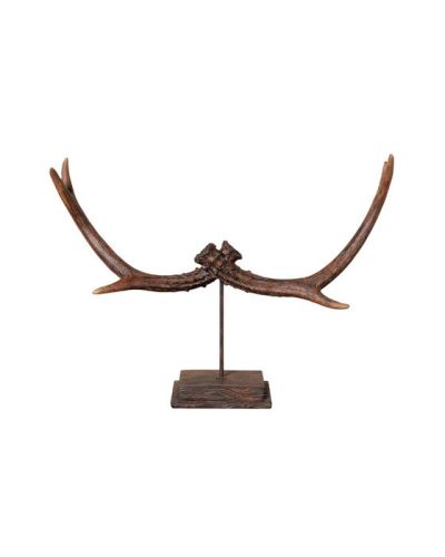 Newport Reindeer Antler Decoration Brown