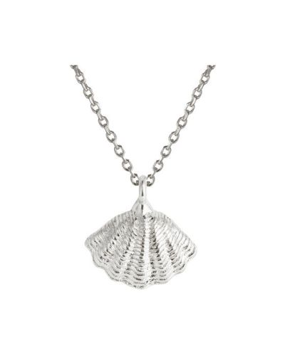 Caroline Svedbom Mira Shell-kaulakoru rhodium