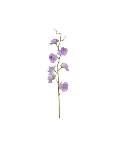 Newport Violetti tuoksuherne leikkokukka