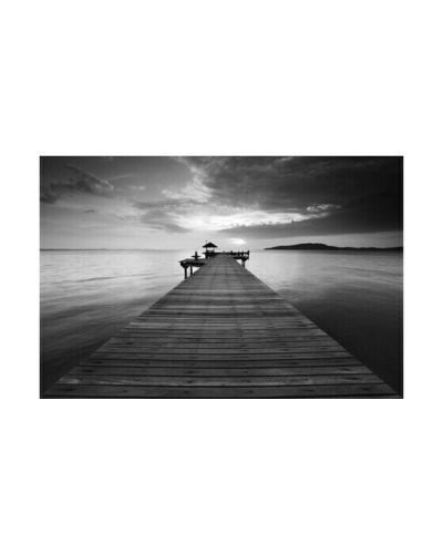 Cobra Art Pier B/W