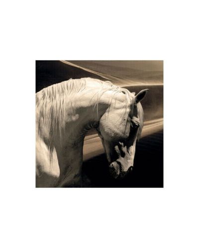 Cobra Art Arabian Horse