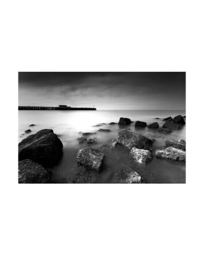 Cobra Art Coastal Morning