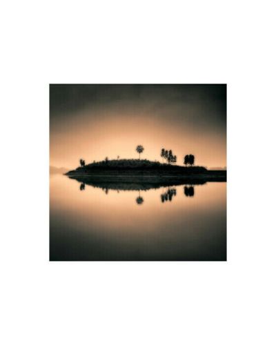 Cobra Art Sunset Island