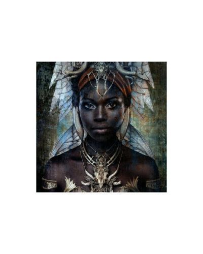 Cobra Art The Girl From Nuba