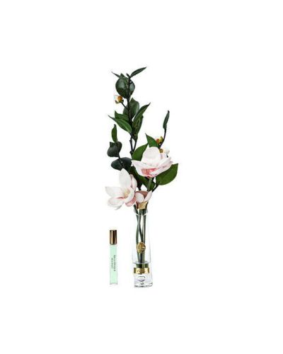 Côte Noire Magnolia d'Été lahjasetti