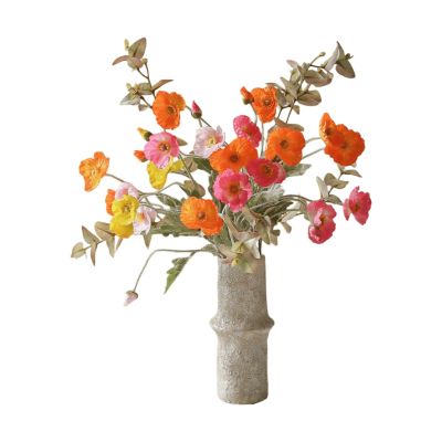 Botané Poppy Spritz tekokimppu Unikko-eukalyptus 10 kpl
