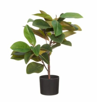 4Living huonekumipuu ruukussa 62 cm vihreä/musta/ruskea