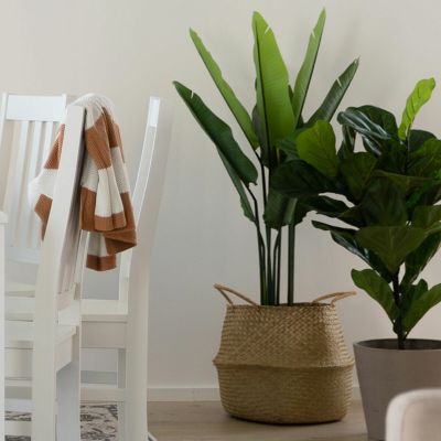 4Living kolibrikukka 110 cm vihreä, musta ruukku | Alk. 69,00 €