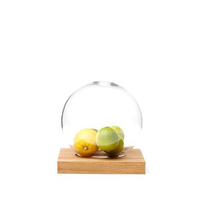 A2 Space koriste Tammi öljytty, lasi | Alk. 139,50 €