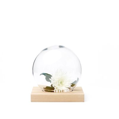 A2 Space koriste Tammi valkoöljytty, lasi | Alk. 139,50 €
