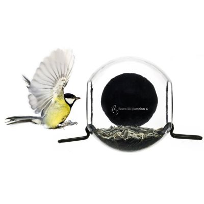 Born In Sweden Bird Feeder kirkas muovi | Alk. 19,90 €