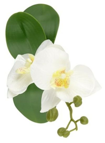 Day Orkidea tekokasvi 5x5x22 cm | Alk. 3,90 €