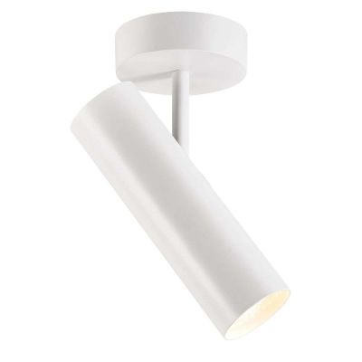 DFTP - Mib 6 Kattovalaisin White | Alk. 64,00 €