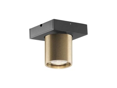 LIGHT-POINT - Focus Mini 1 LED Kattovalaisin 3000K Brass Light-Point | Alk. 198,00 €