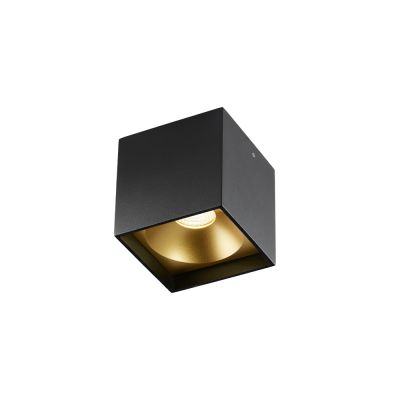 Light-Point Solo Square spotlight Black/gold, 3000 kelviniä | Alk. 161,77 €