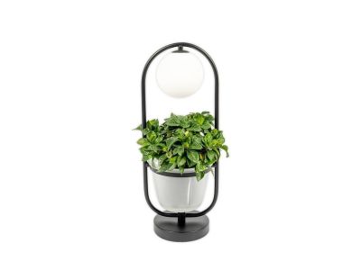 Lindby - Orna Pöytävalaisin Black/Opal Lindby | Alk. 32,90 €