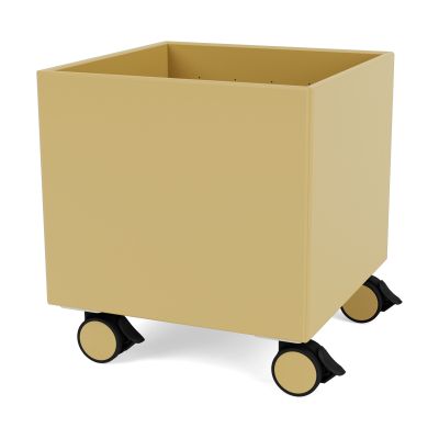 Montana Colour Box I – S6161 Cumin | Alk. 329,40 €