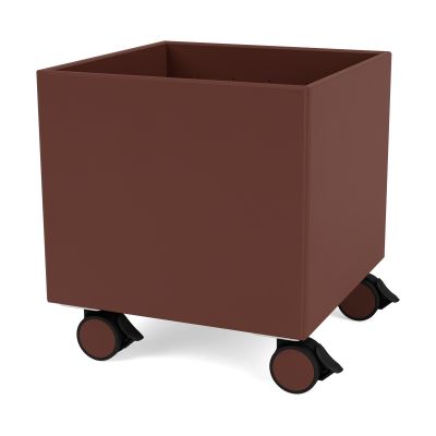 Montana Colour Box I – S6161 Masala | Alk. 274,90 €