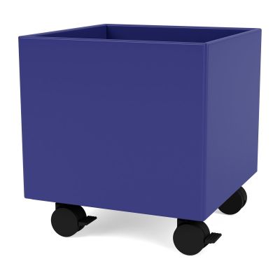 Montana Colour Box I – S6161 Monarch | Alk. 329,40 €