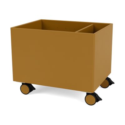 Montana Colour Box II Amber | Alk. 388,80 €