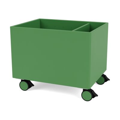 Montana Colour Box II Parsley | Alk. 323,90 €