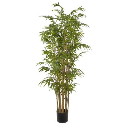 Mr Plant, Bambu 180 cm | Alk. 178,00 €