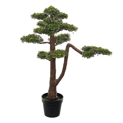 Mr Plant, Bonsai Puu 95 cm | Alk. 258,00 €