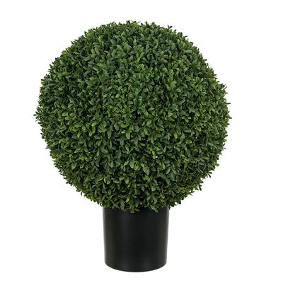 Mr Plant, Buxbom ruukussa 40 cm | Alk. 162,00 €