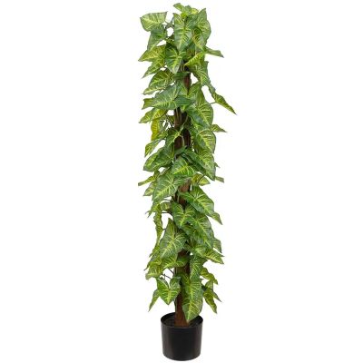 Mr Plant, Hanhenjalka Puu 120 cm | Alk. 90,00 €